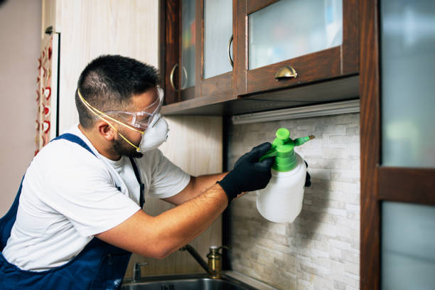 Best Ant Control Services  in Kenbridge, VA