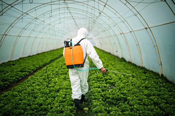 Best Pest Inspection Near Me  in Kenbridge, VA
