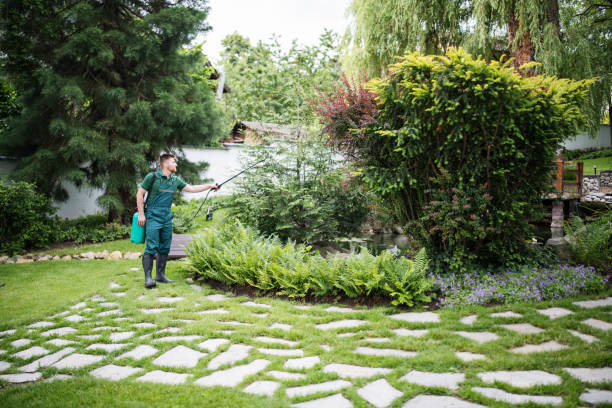 Best Pest Removal Services  in Kenbridge, VA