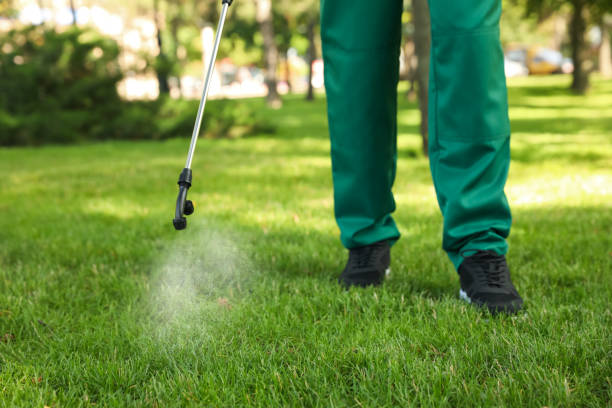 Best Wasp Removal Services  in Kenbridge, VA