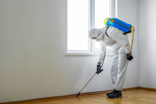 Best Rat Extermination Near Me  in Kenbridge, VA