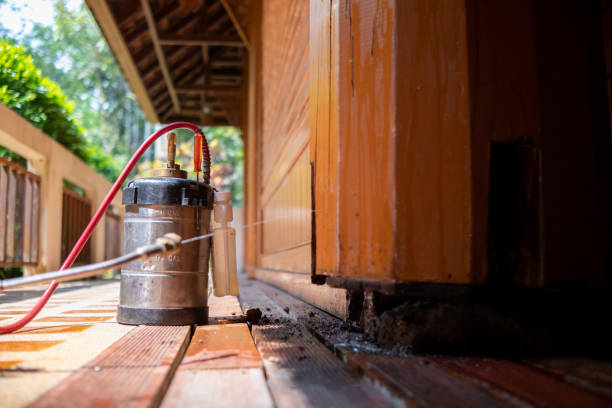 Best Termite Control Services  in Kenbridge, VA