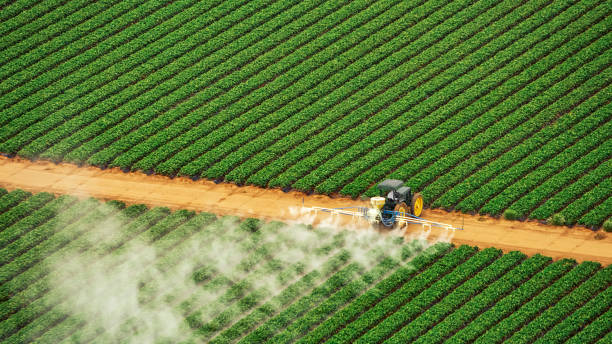 Best Mosquito Control Services  in Kenbridge, VA