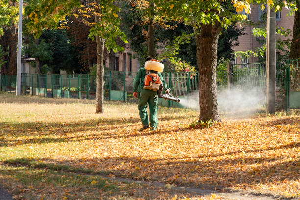 Best Bed Bug Extermination  in Kenbridge, VA