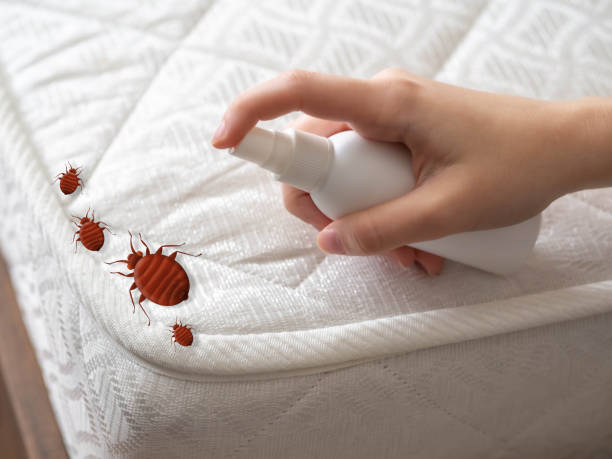 Best Exterminator Services  in Kenbridge, VA