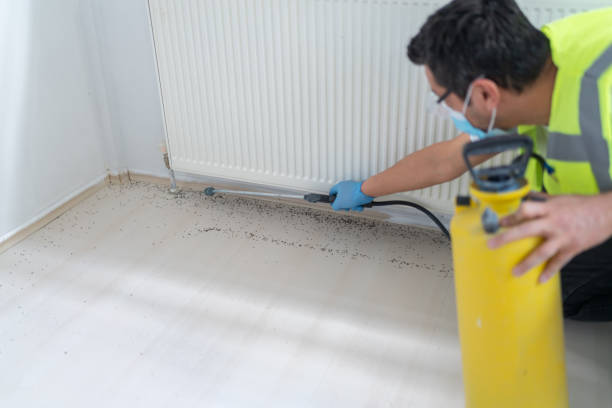 Best Pest Inspection Near Me  in Kenbridge, VA