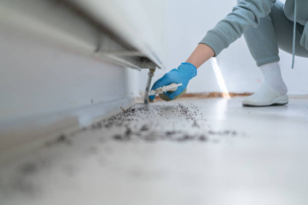Trusted Kenbridge, VA Pest Control Experts